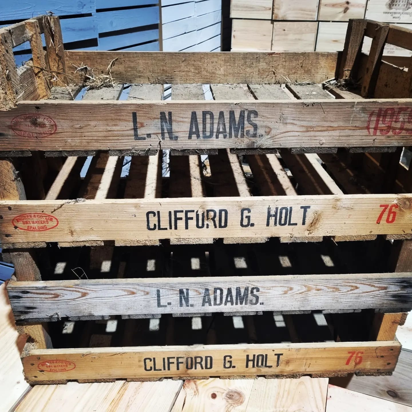 VINTAGE PRODUCE TRAYS